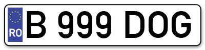 Placuta inmatriculare numar auto  B-999-DOG, B 999 DOG, B999DOG