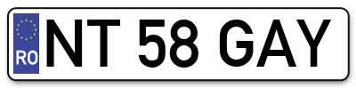 Placuta inmatriculare numar auto  NT-58-GAY, NT 58 GAY, NT58GAY