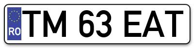 Placuta inmatriculare numar auto  TM-63-EAT, TM 63 EAT, TM63EAT